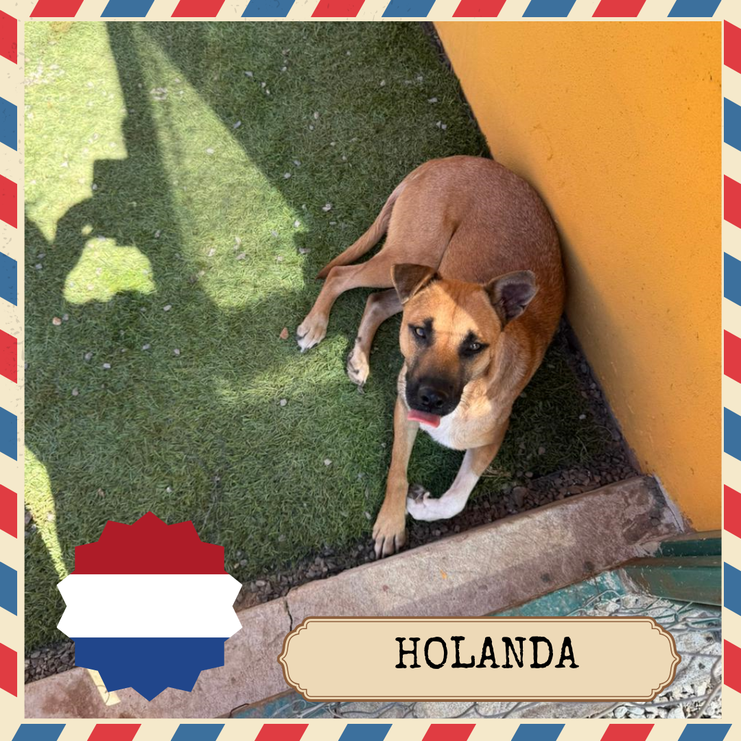 Holanda