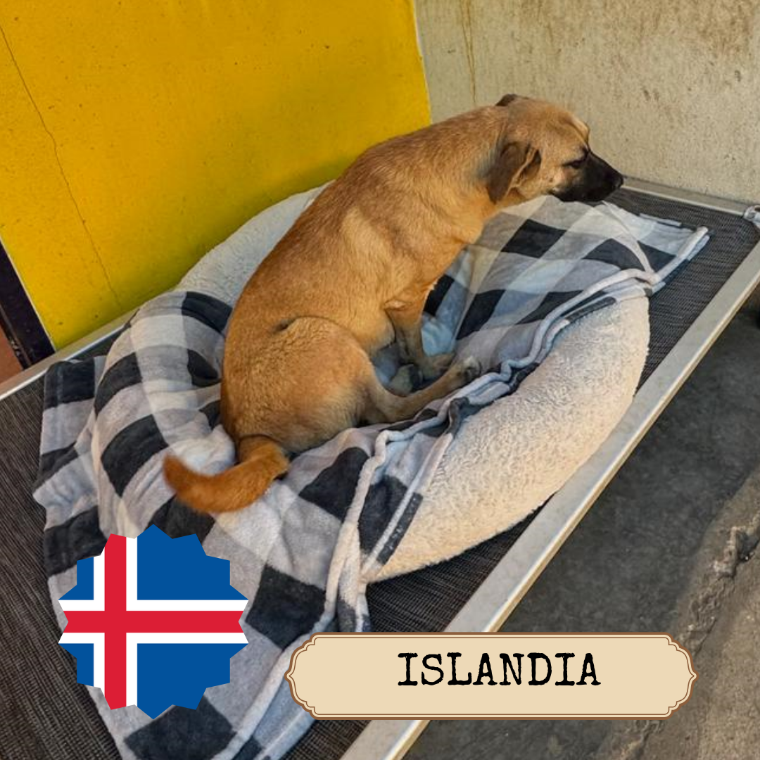 Islandia