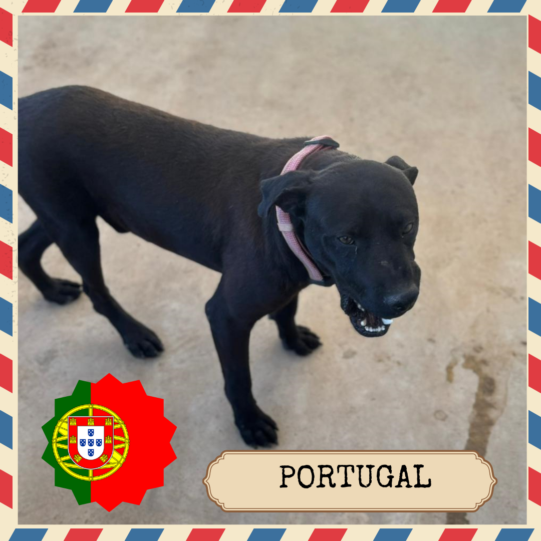 Portugal