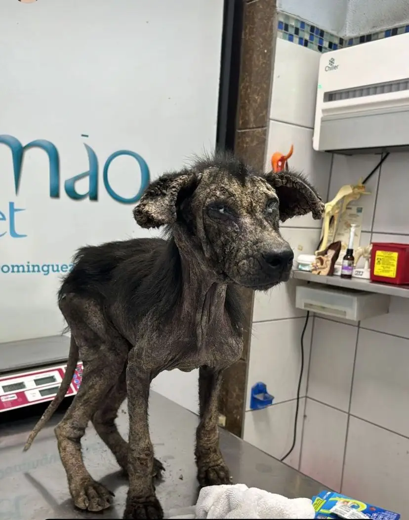 Angélica María antes del rescate