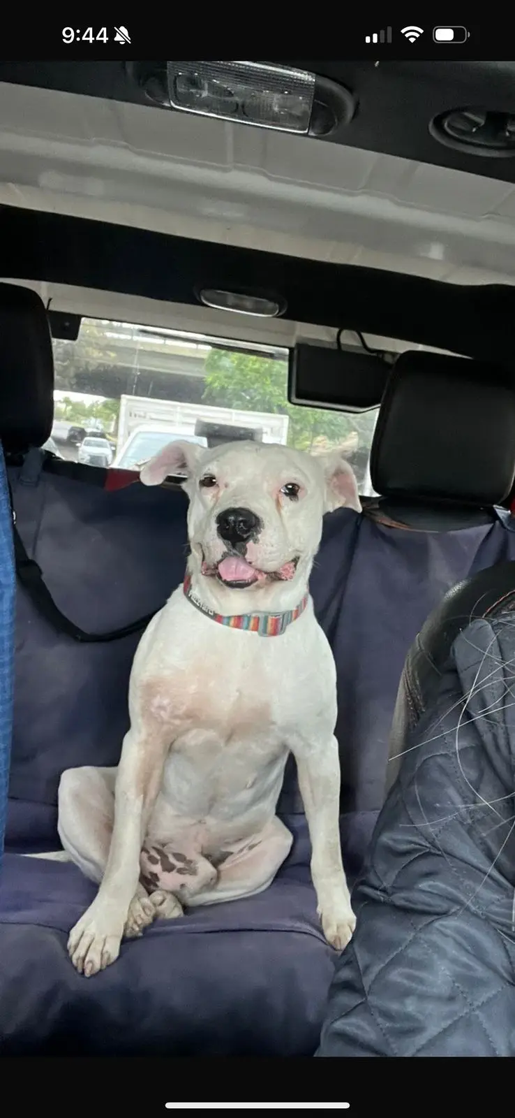 Zeus después